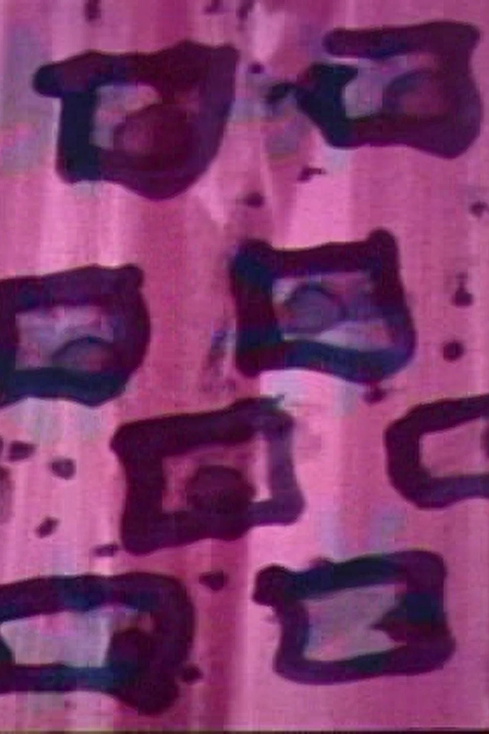 Backdrop